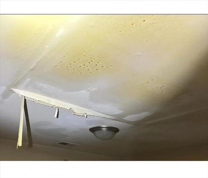 water damage on ceiling from sprinkler damage