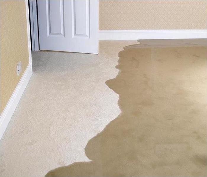 puddle of water on carpet in bedroom