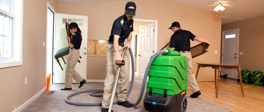 Elkton, MD cleaning services